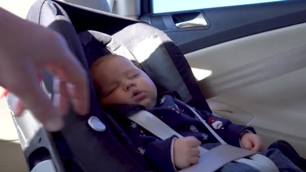 Fixação de um cinto de segurança de bebê em um carro — Vídeo de Stock