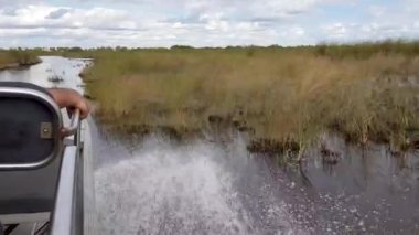 Everglades Florida 4K 'da bir bataklık gemisi turu.