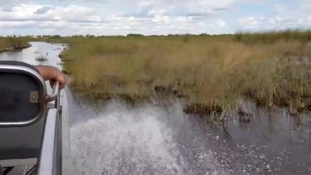 Everglades Florida Bir Bataklık Gemisi Turu — Stok video