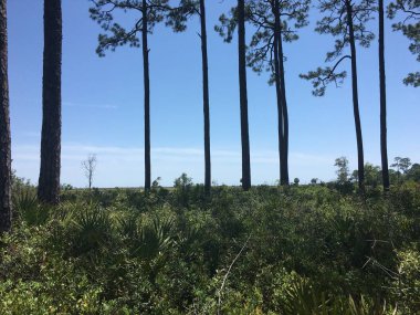 Sığınakta Yürüyüş