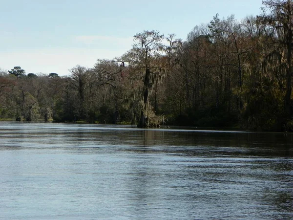 Mysterieuze Wateren Van Noord Florida — Stockfoto