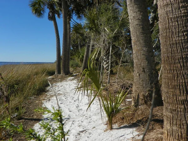 Voor Kust Van Florida — Stockfoto