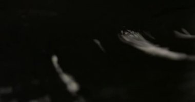 El, mavi ışıklı beyaz bir masaya siyah bir klavye yazıyor..