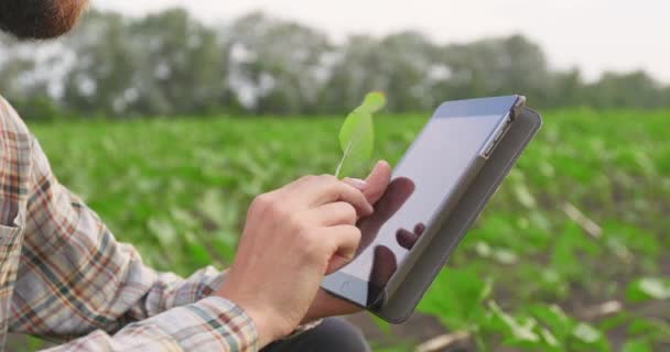 Gadget Bir Çiftçi Yeşil Alan Elinde — Stok video