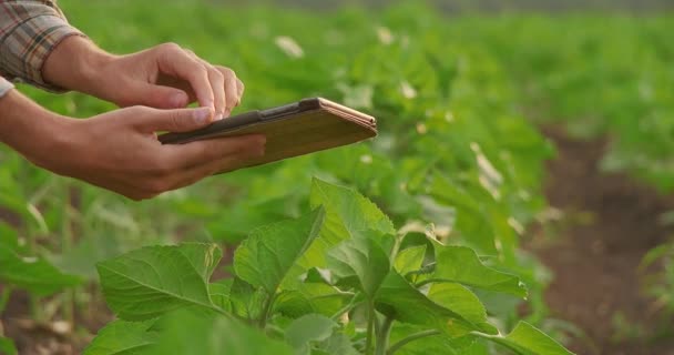 Gadget Handen Van Een Boer Groen Veld — Stockvideo