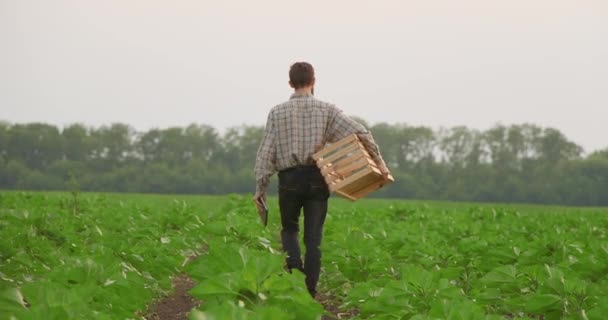 Scatola Legno Nelle Mani Dell Agricoltore — Video Stock