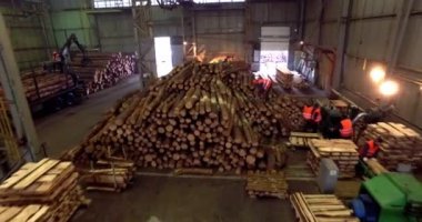 Ağaçların tahrip edilmesi, odun kesilmesi