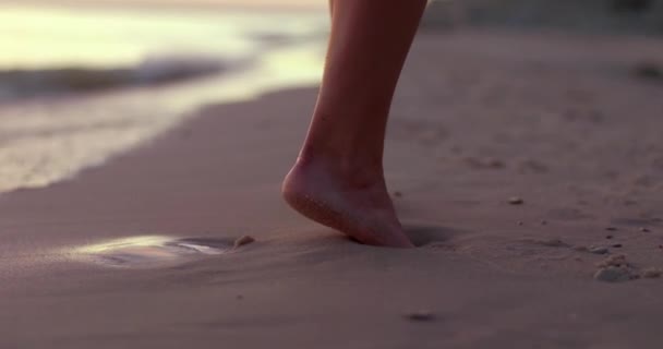 Människors Fötter Vatten Och Sand Stora — Stockvideo