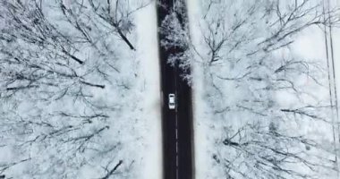 Bir yükseklikten ormanda Yol