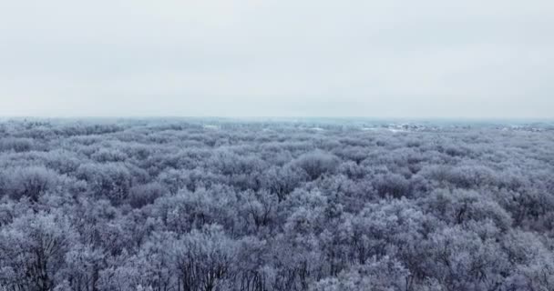 Winter Park Widok Góry Helikoptera — Wideo stockowe