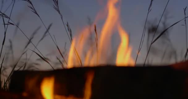 夜晚的篝火余烬 — 图库视频影像