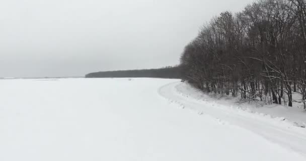 Inverno Movimento Câmera Floresta Branca — Vídeo de Stock