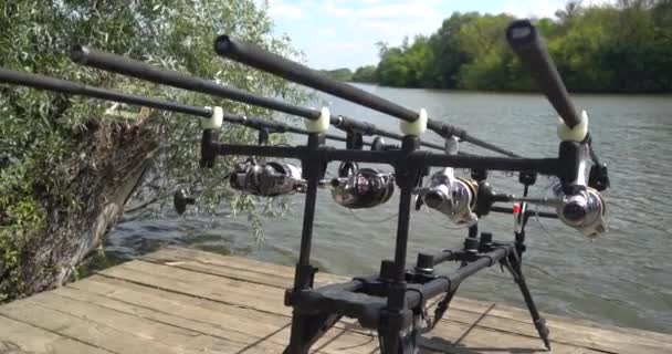 Cámara Lenta Pesca Carpas Caña Debajo Cañas Pescar Carretes Una — Vídeos de Stock