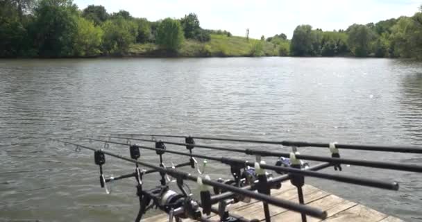 慢动作 鲤鱼钓鱼 钓鱼竿 木平台上的卷轴 — 图库视频影像