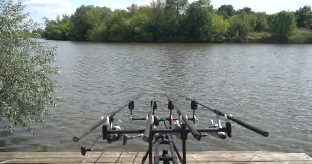 慢动作 鲤鱼钓鱼 钓鱼竿 木平台上的卷轴 — 图库视频影像