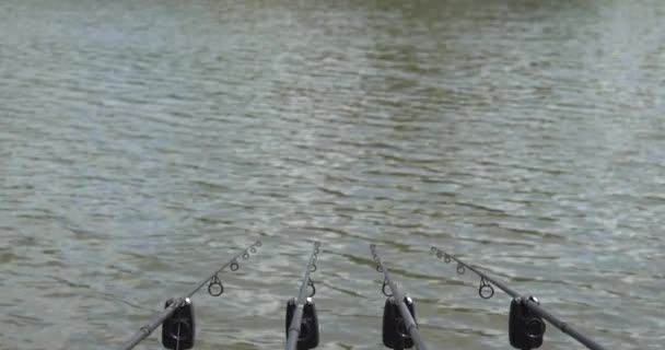 Zeitlupe Karpfenangeln Angelrute Unter Angelruten Rollen Auf Einer Holzplattform — Stockvideo