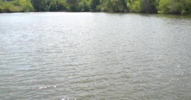 Yavaş hareket, sazan balıkçılık, altında çubuk, olta, ahşap bir platform üzerinde makaralar