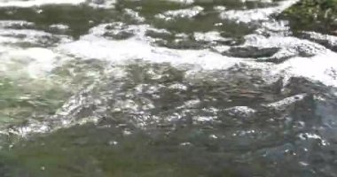 Nehir, su akışı yavaş hareket