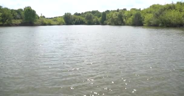 Ralenti, pêche à la carpe, canne sous, cannes à pêche, bobines sur une plate-forme en bois 