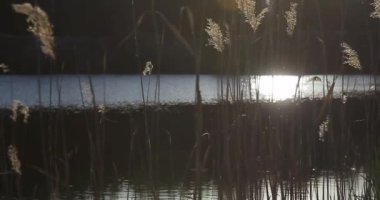 Işığın ışınlarındaki kulaklar