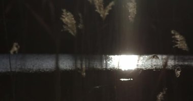 Işığın ışınlarındaki kulaklar