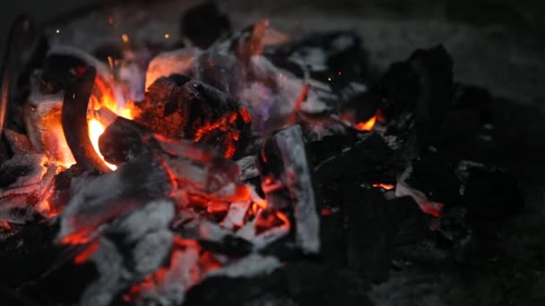 黑色背景上篝火的火花余烬 — 图库视频影像