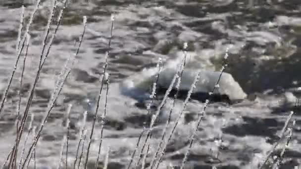 Хвилі Озері — стокове відео