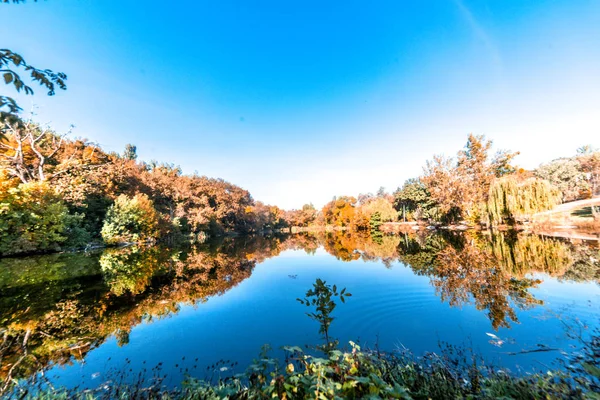 Ağaç dalları gün batımı ile güneş Işını