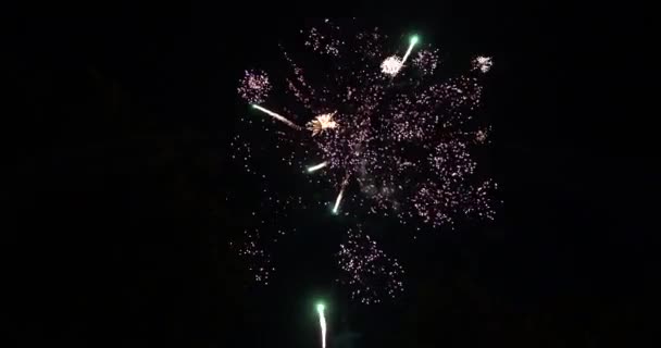 Feux Artifice Nouvel Dans Ciel Sombre Ralenti — Video