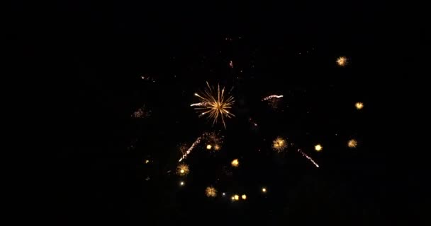 Fogos Artifício Ano Novo Céu Escuro Câmera Lenta — Vídeo de Stock