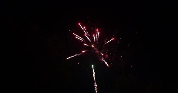 Πυροτεχνήματα Του Νέου Έτους Στον Σκοτεινό Ουρανό Αργή Κίνηση — Αρχείο Βίντεο