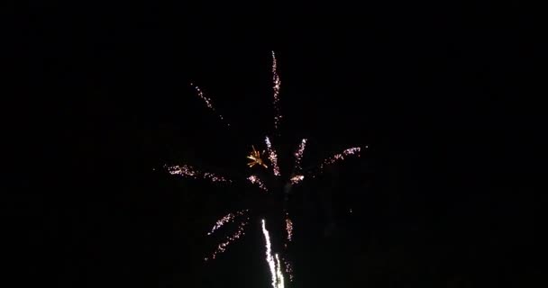 Silvesterfeuerwerk Dunklen Himmel Zeitlupe — Stockvideo