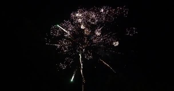 Feux Artifice Nouvel Dans Ciel Sombre Ralenti — Video