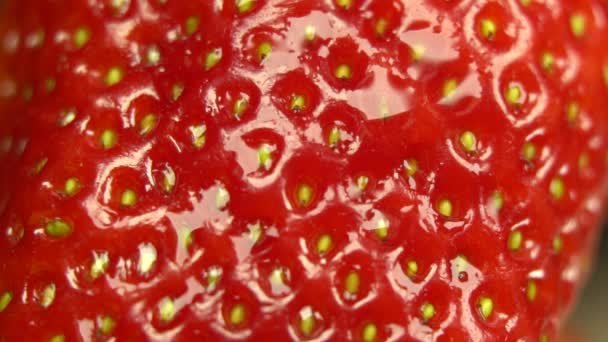 Saftige Und Frische Erdbeeren Isoliert Auf Schwarzem Hintergrund Nahaufnahme Mit — Stockvideo