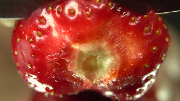 Couper Moitié Fraise Couteau Fermer Jusqu Moitié Fraise Prise Vue — Video