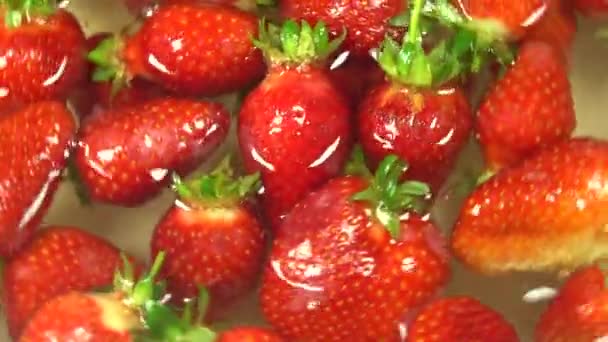 물방울들 배경에 충돌하는 딸기는 동작으로 있습니다 충전재 — 비디오