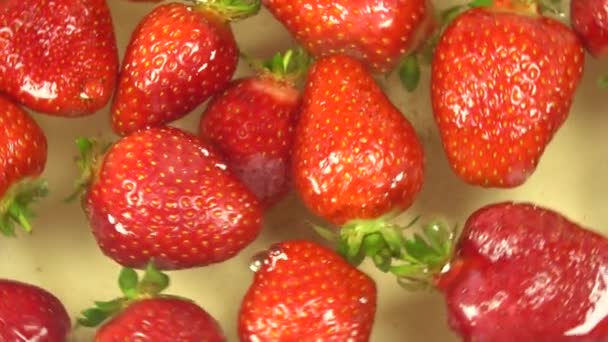 Aardbei Met Waterdruppels Botsen Witte Achtergrond Close Super Slow Motion — Stockvideo