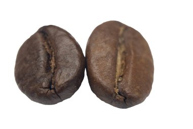 Beyaz arkaplandaki kahve çekirdeğinin makro görüntüsü izole edildi