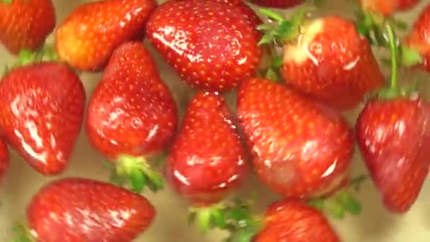 물방울들 배경에 충돌하는 딸기는 동작으로 있습니다 충전재 — 비디오