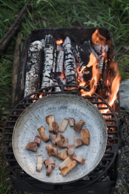 Tavada kızarmış domuz yağı, çimlerde barbekü. Tavada kızarmış domuz yağı parçaları.