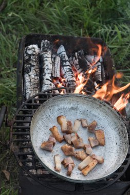 Tavada kızarmış domuz yağı, çimlerde barbekü. Tavada kızarmış domuz yağı parçaları.