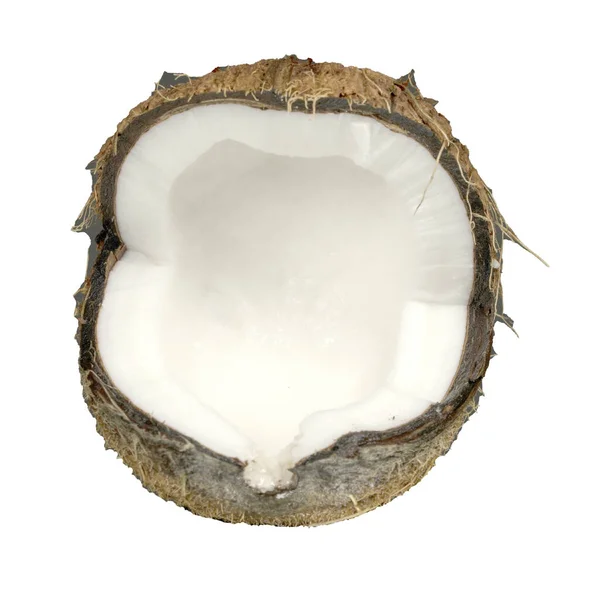 在白色背景上分离的椰子 — 图库照片