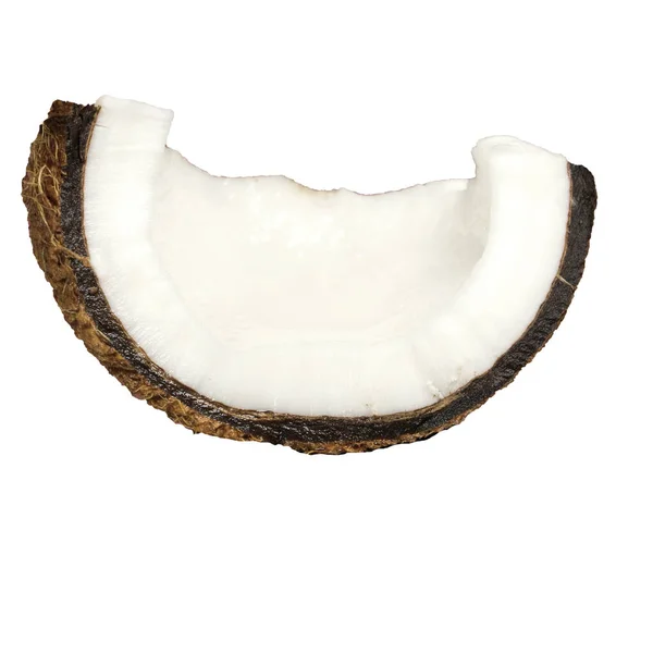 在白色背景上分离的椰子 — 图库照片
