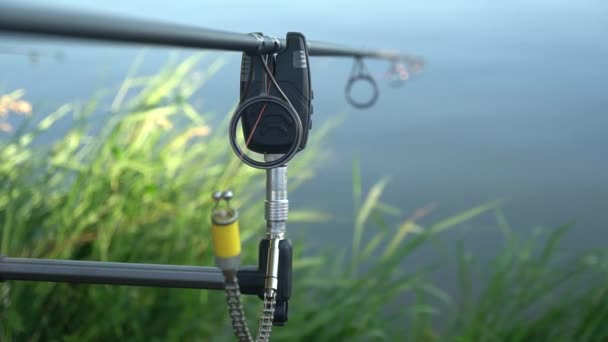 Carp Fishing Concept Carp Fishing Pond Fishing Rod Stand — Stock Video