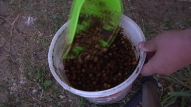 Balıkçı balık yemi hazırlıyor. Besleyici balıkçılık