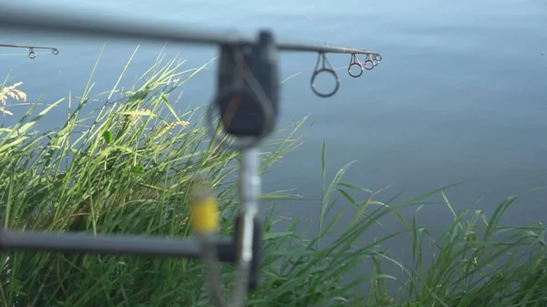 Alarme Mordida Peixe Eletrônico Fundo Turvo Pesca Carpa — Fotografia de Stock