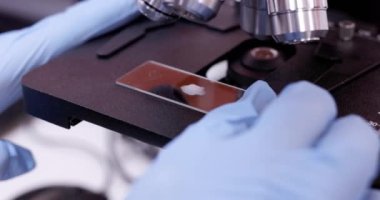 Laboratuvarda deney tüpü ve matara üzerinde çalışan bilim adamı. Beyin Adam Kimya Rengi Zehirli Sıvıyı Bilim Şişelerine Döktü. 4K görüntüsünü kapat. Aşı araştırması. Yeni bir uyuşturucu hakkında araştırma.