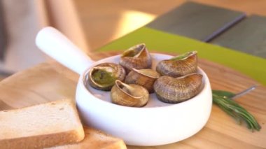Tarım salyangozları çiftliğindeki ahşap raflarda aktif salyangozlar. Salyangoz başka bir salyangoz kabuğuna yavaş çekimde tırmanır. Fransız mutfağı gastronomi lezzetleri için organik yumuşakçalar büyür. Salyangoz çiftliği, büyüyen salyangozlar, yakın plan salyangozlar.