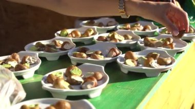 Salyangoz çiftliği, büyüyen salyangozlar, salyangozlar. Salyangoz başka bir salyangoz kabuğuna yavaş çekimde tırmanır. Fransız mutfağı gastronomi lezzetleri için organik yumuşakçalar gelişimi