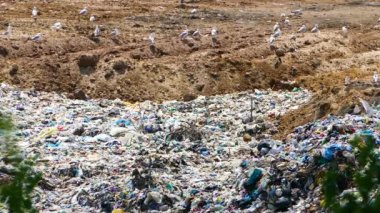 Çöp dökümü çok kötü ekoloji